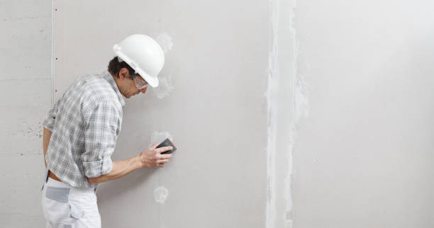 Best Drywall Sanding and Smoothing  in Lemont Furnace, PA