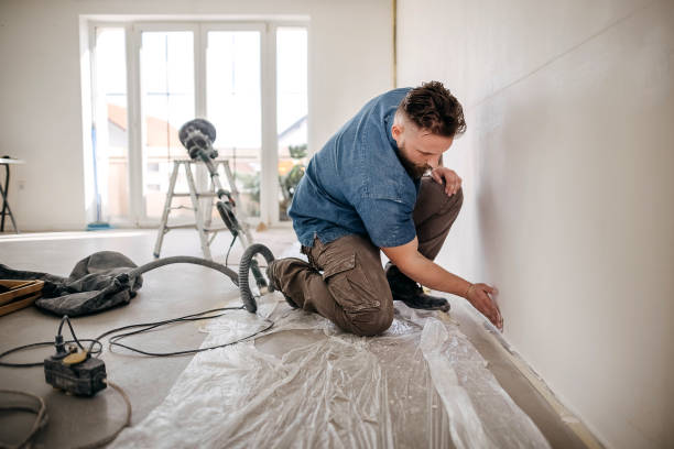 Best Fire-Damaged Drywall Repair  in Lemont Furnace, PA